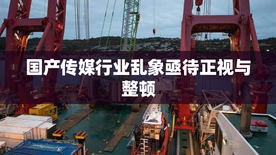 国产传媒行业乱象亟待正视与整顿