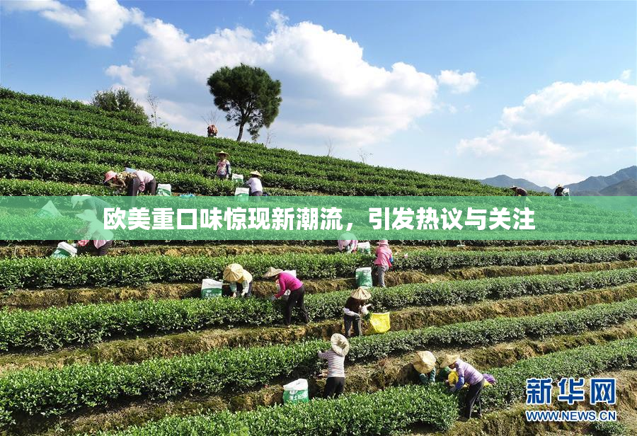 欧美重口味惊现新潮流，引发热议与关注