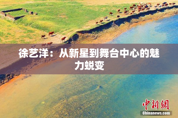 徐艺洋：从新星到舞台中心的魅力蜕变