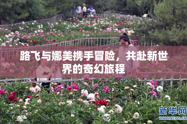 路飞与娜美携手冒险，共赴新世界的奇幻旅程