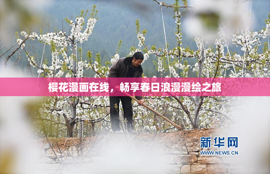 樱花漫画在线，畅享春日浪漫漫绘之旅