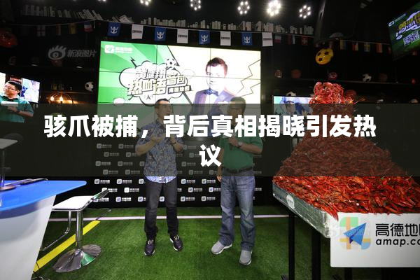 骇爪被捕，背后真相揭晓引发热议