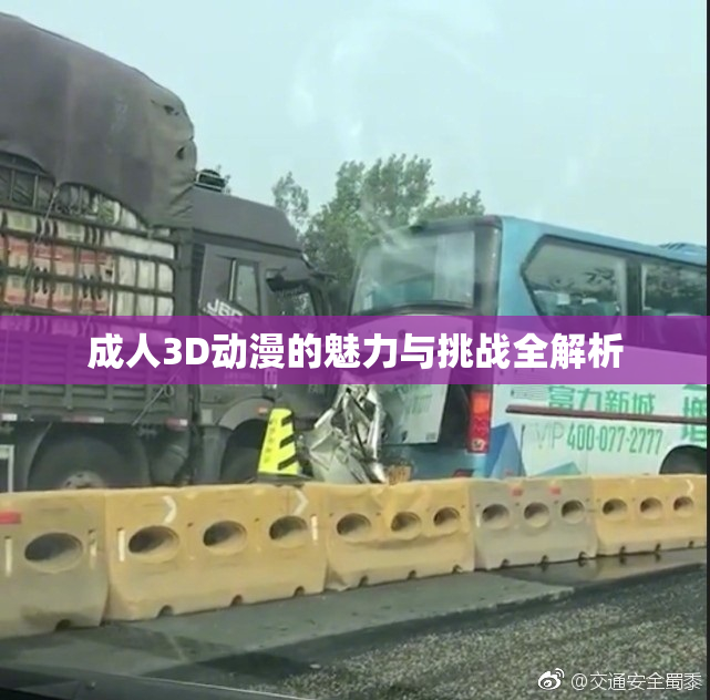 成人3D动漫的魅力与挑战全解析