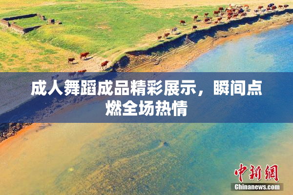 成人舞蹈成品精彩展示，瞬间点燃全场热情