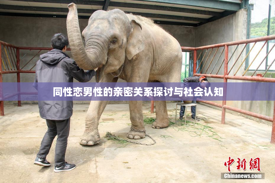 同性恋男性的亲密关系探讨与社会认知