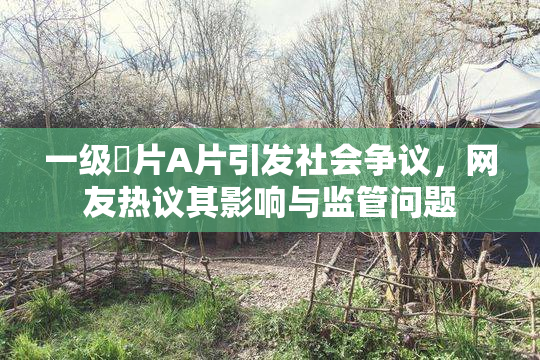 一级婬片A片引发社会争议，网友热议其影响与监管问题