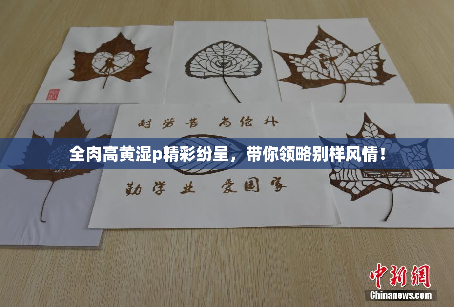 全肉高黄湿p精彩纷呈，带你领略别样风情！