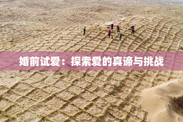 婚前试爱：探索爱的真谛与挑战