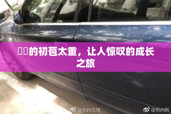 妺妺的初苞太重，让人惊叹的成长之旅