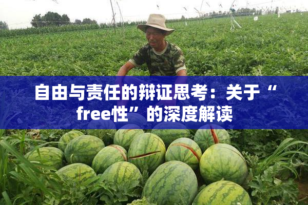 自由与责任的辩证思考：关于“free性”的深度解读