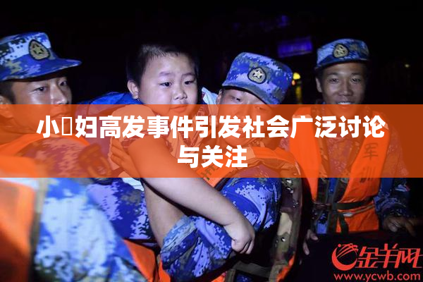 小婬妇高发事件引发社会广泛讨论与关注