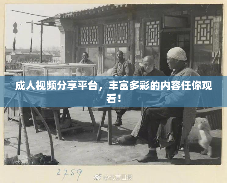 成人视频分享平台，丰富多彩的内容任你观看！