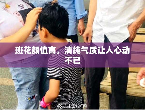 班花颜值高，清纯气质让人心动不已