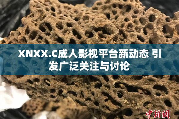 XNXX.C成人影视平台新动态 引发广泛关注与讨论