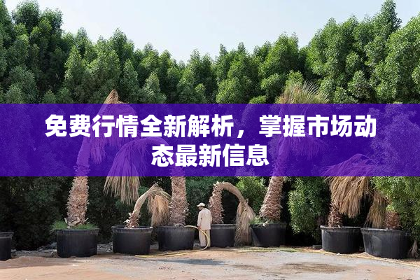 免费行情全新解析，掌握市场动态最新信息