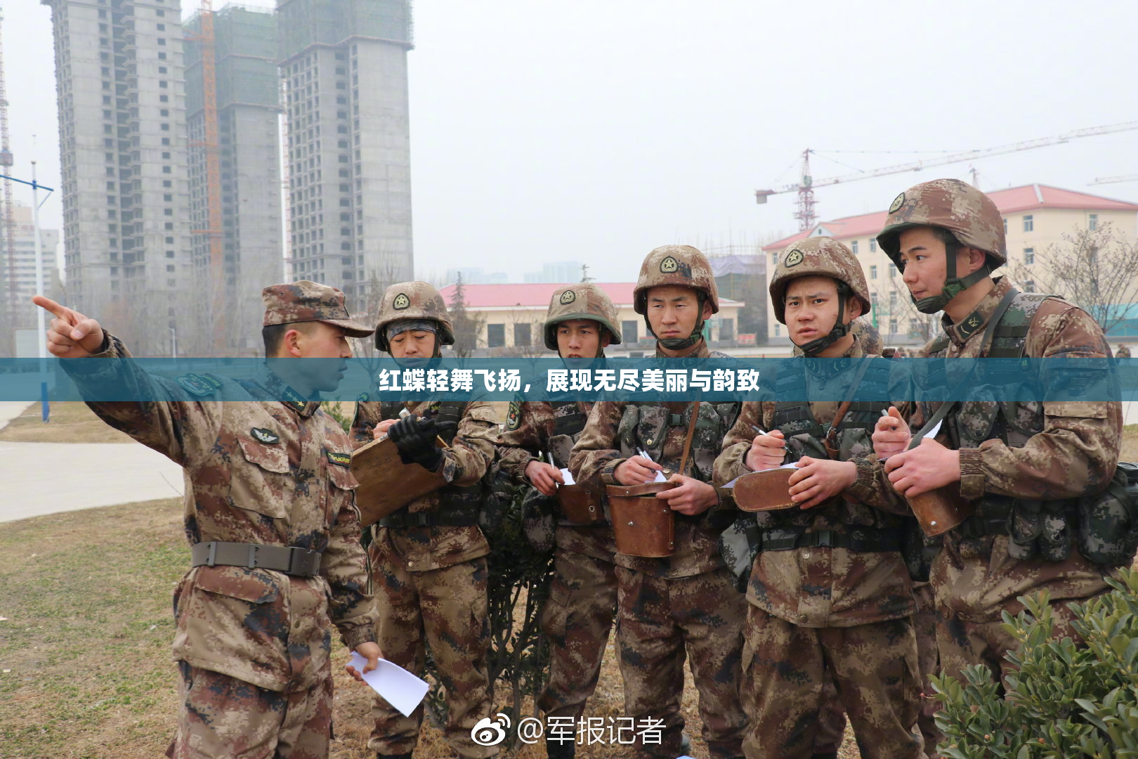红蝶轻舞飞扬，展现无尽美丽与韵致
