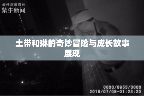 土带和琳的奇妙冒险与成长故事展现