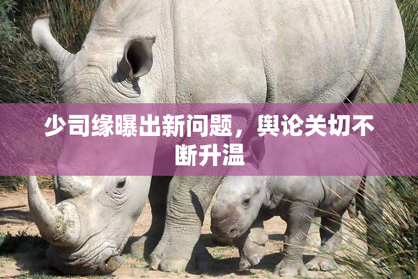 少司缘曝出新问题，舆论关切不断升温