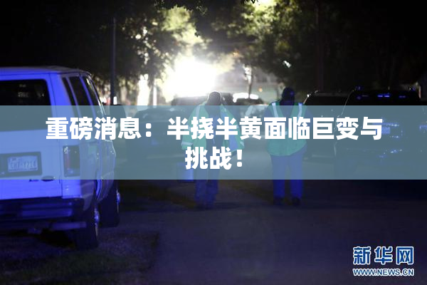重磅消息：半挠半黄面临巨变与挑战！