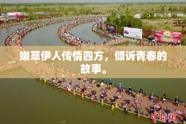 嫩草伊人传情四方，倾诉青春的故事。