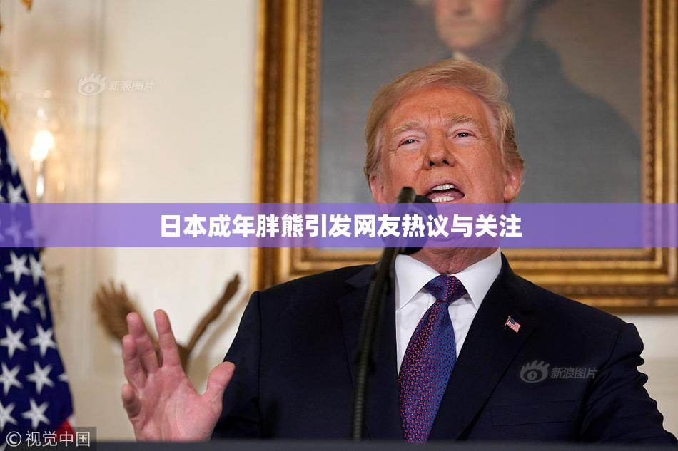 日本成年胖熊引发网友热议与关注