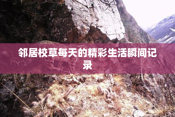 邻居校草每天的精彩生活瞬间记录