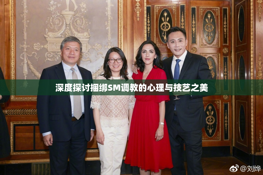 深度探讨捆绑SM调教的心理与技艺之美