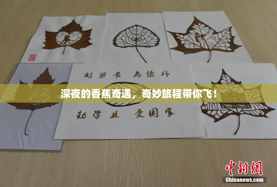 深夜的香蕉奇遇，奇妙旅程带你飞！