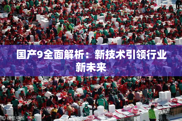 国产9全面解析：新技术引领行业新未来