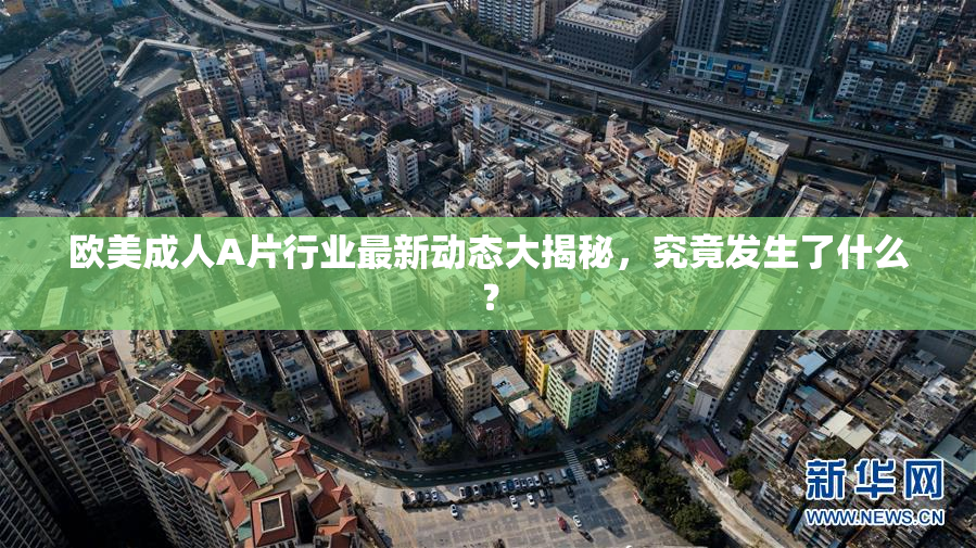 欧美成人A片行业最新动态大揭秘，究竟发生了什么？