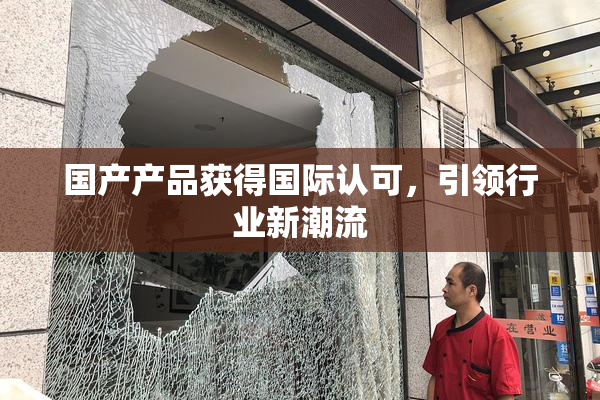 国产产品获得国际认可，引领行业新潮流