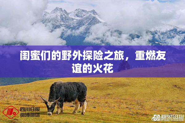 闺蜜们的野外探险之旅，重燃友谊的火花