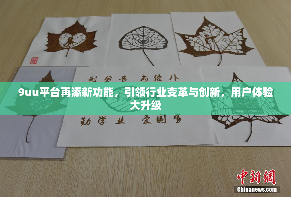 9uu平台再添新功能，引领行业变革与创新，用户体验大升级