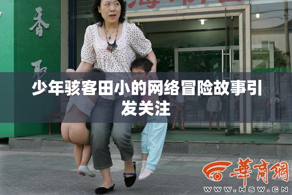 少年骇客田小的网络冒险故事引发关注