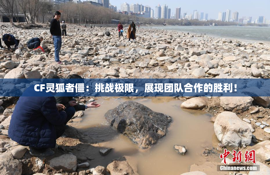 CF灵狐者僵：挑战极限，展现团队合作的胜利！