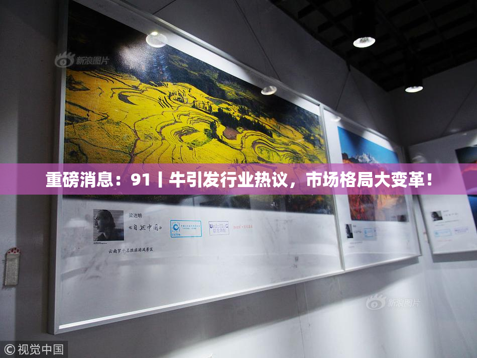 重磅消息：91丨牛引发行业热议，市场格局大变革！