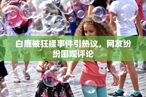白鹿被狂揉事件引热议，网友纷纷围观评论
