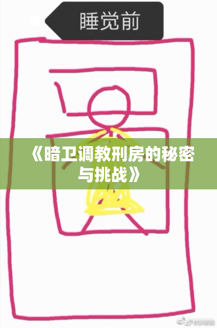 《暗卫调教刑房的秘密与挑战》