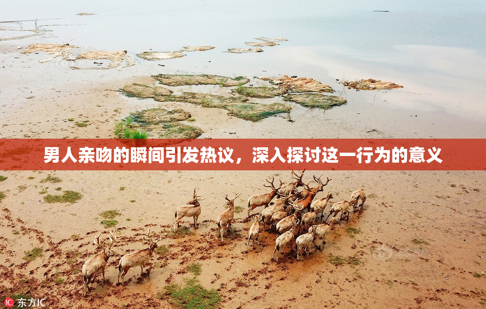 男人亲吻的瞬间引发热议，深入探讨这一行为的意义