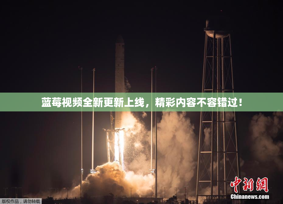 蓝莓视频全新更新上线，精彩内容不容错过！