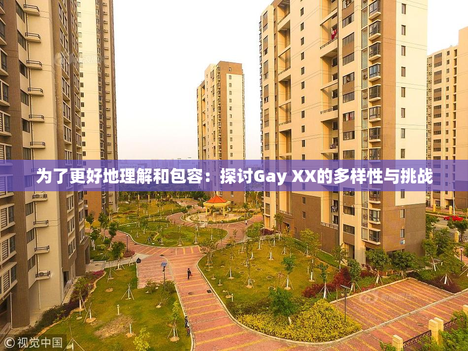 为了更好地理解和包容：探讨Gay XX的多样性与挑战