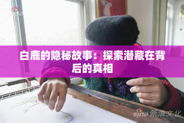 白鹿的隐秘故事：探索潜藏在背后的真相