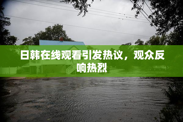 日韩在线观看引发热议，观众反响热烈