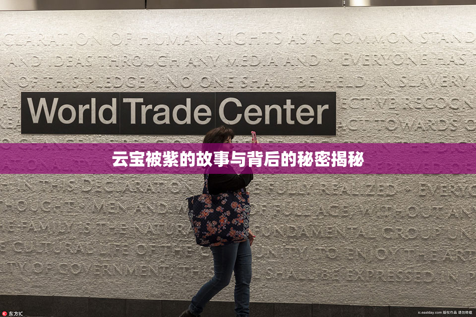云宝被紫的故事与背后的秘密揭秘