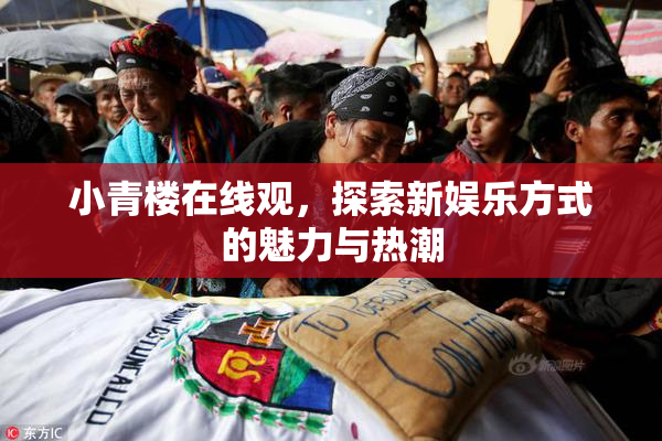 小青楼在线观，探索新娱乐方式的魅力与热潮