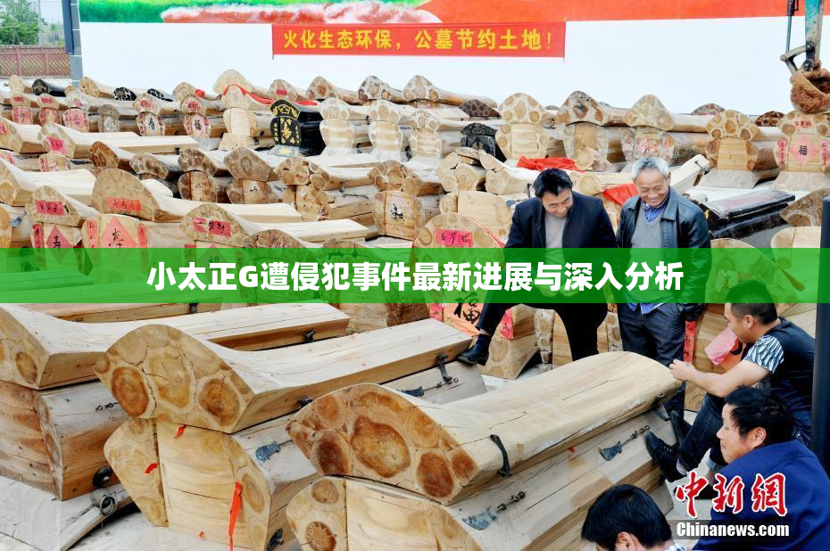 小太正G遭侵犯事件最新进展与深入分析