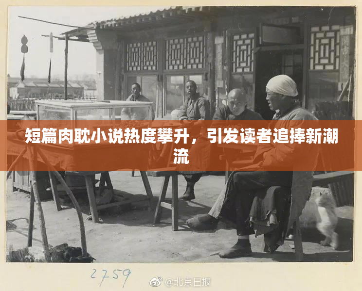 短篇肉耽小说热度攀升，引发读者追捧新潮流