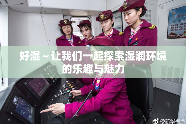 好湿～让我们一起探索湿润环境的乐趣与魅力