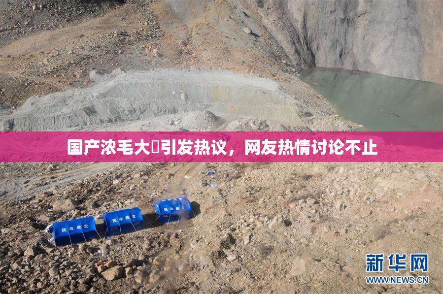 国产浓毛大泬引发热议，网友热情讨论不止