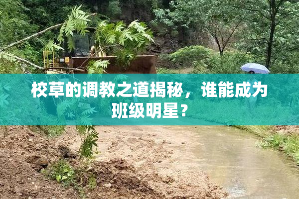 校草的调教之道揭秘，谁能成为班级明星？